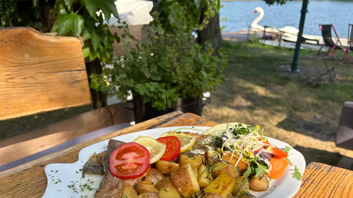 Beim Saibling mit Rosmarinkartoffeln können Gäste in der Fischsube in Stolzenhagen auf den See und Bootsverleih schauen.