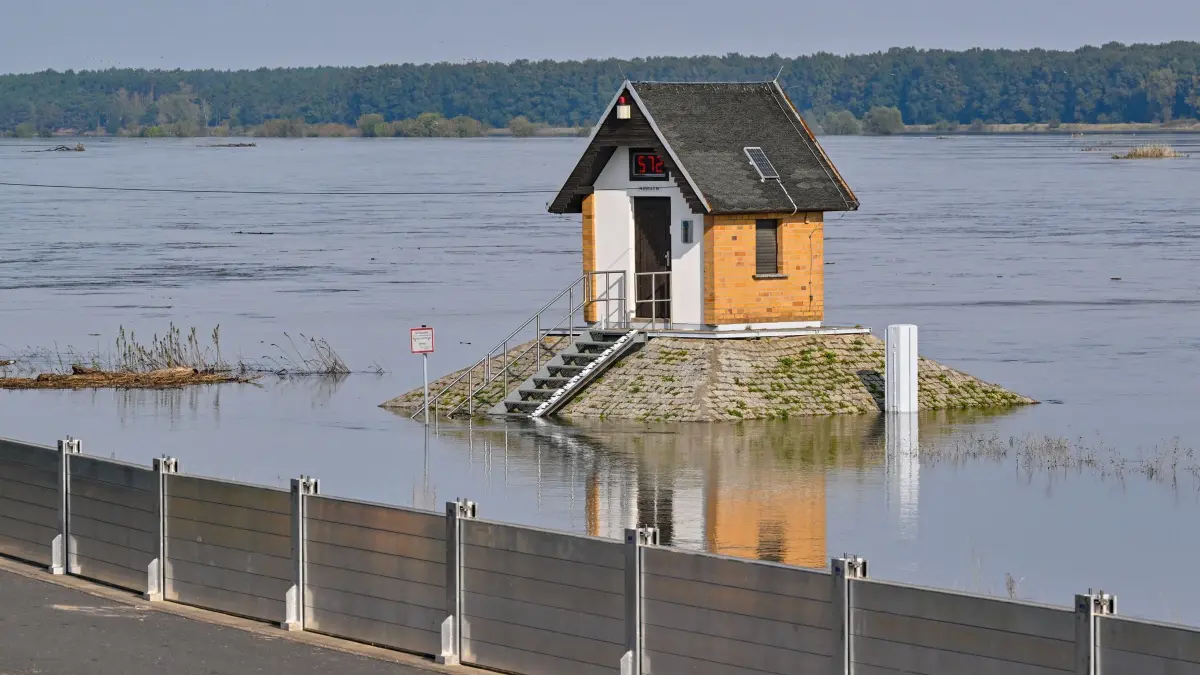 Hochwasser in Brandenburg: 24.09.2024, Brandenburg, Ratzdorf: Am Pegelhaus von Ratzdorf unweit vom Zusammenfluss der Neiße in den Fluss Oder wurde eine mobile Hochwasserschutzwand aufgebaut. An diesem Mittag betrug der Wasserstand der Oder hier in Ratzdorf etwa 5,72 Meter. Prognosen sagen einen steigenden Wasserstand in den nächsten Stunden auf etwa 6,20 Meter vorher. Seit Tagen bereiten sich die Orte entlang des deutsch-polnischen Grenzflusses Oder auf eine Verschärfung der Hochwasserlage vor. Foto: Patrick Pleul/dpa +++ dpa-Bildfunk +++