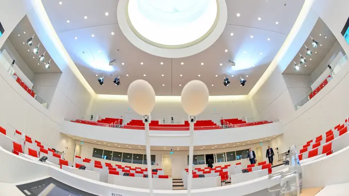 Diese Folgen hat die Sperrminorität der AfD