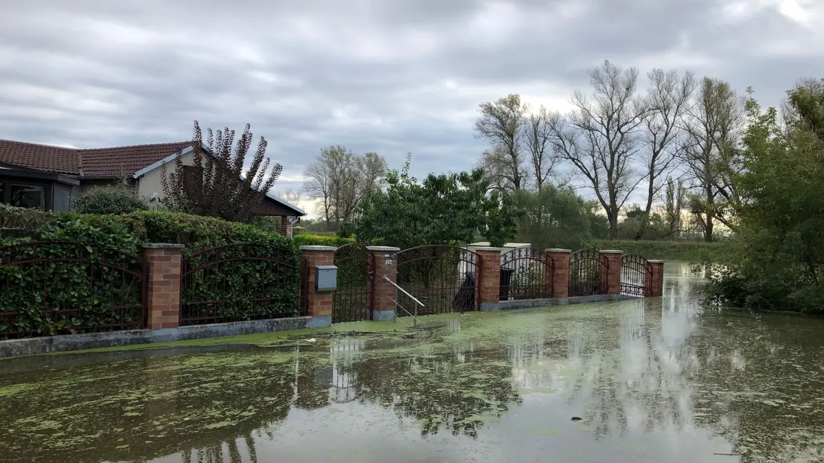 Hochwasser an der Oder: In Fürstenberg, ein Ortsteil von Eisenhüttenstadt, hat das Wasser bereits die ersten Grundstücke erreicht. Die ersten Bänke sind von Wasser bedeckt. Es fehlen nur noch 80 Zentimeter bis zum Stand des Hochwassers von 1997.