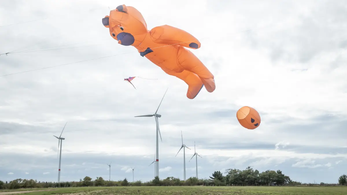 Knapp hat der Wind am Sonnabend beim Drachenfest auch f?r die ganz gro?en Drachen gereicht.