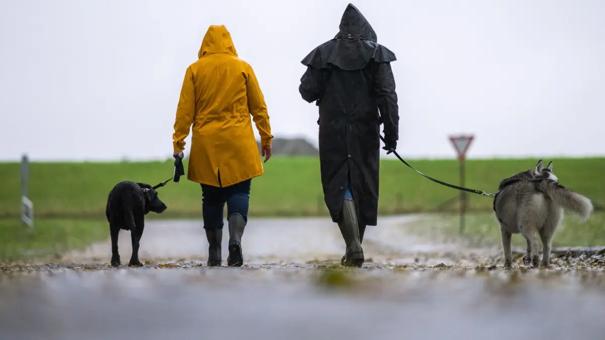 Gassigehen bei Sturm: ARCHIV - Kleine Gassirunde: Bei stürmischem Wetter sollte man mit dem Hund lieber nur kurz spazieren gehen und Gegenden mit Bäumen meiden. (zu dpa: «So kommt Ihr Haustier gut durch stürmische Tage») Foto: Mohssen Assanimoghaddam/dpa/dpa-tmn - Honorarfrei nur für Bezieher des dpa-Themendienstes +++ dpa-Themendienst +++