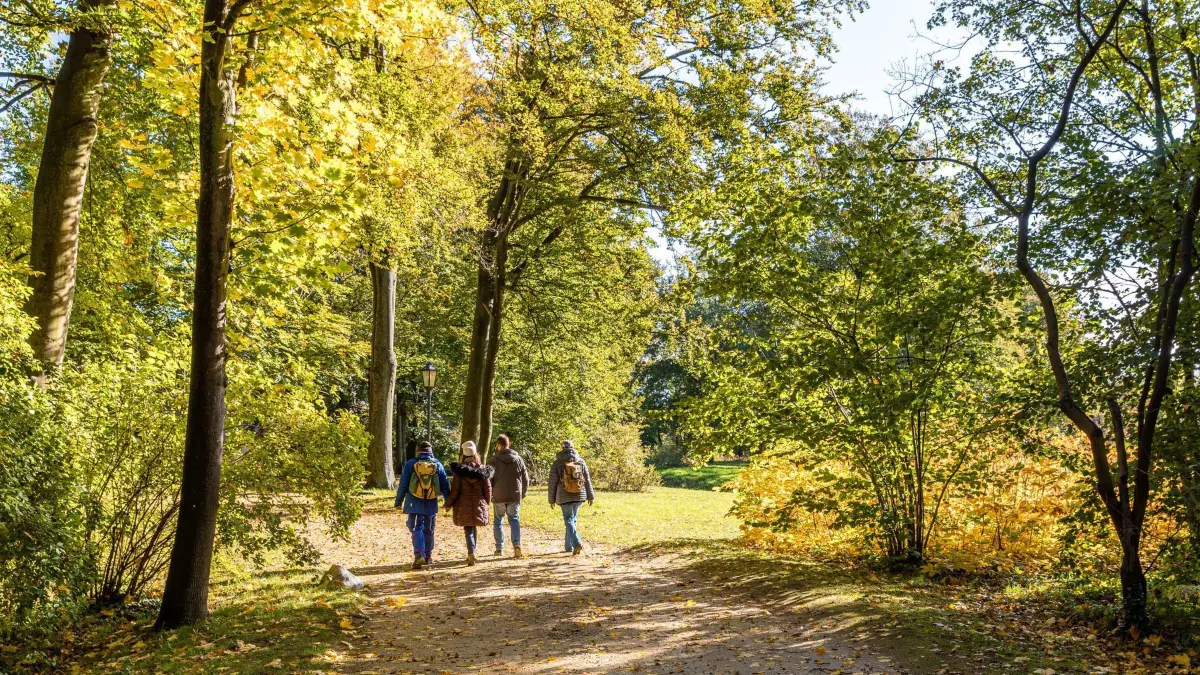 Herbst-Stimmung im Branitzer Park: 13.10.2024, Brandenburg, Cottbus: Spaziergänger laufen im Branitzer Park, der beginnt, sich herbstlich zu färben. In den nächsten Wochen wird sich die Laubfärbung der Bäume noch deutlich verstärken. Foto: Frank Hammerschmidt/dpa - Honorarfrei nur für Bezieher des Dienstes ZB-Funkregio Ost +++ ZB-FUNKREGIO OST +++