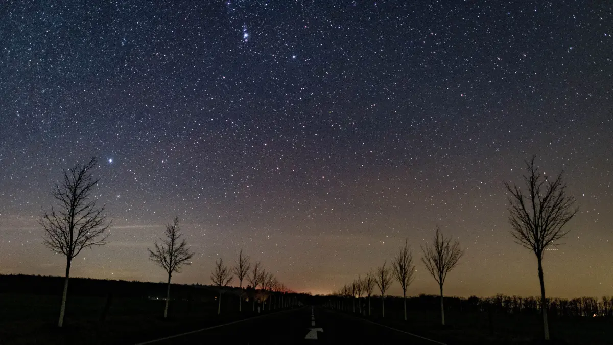 Blick auf einen kleinen Teil der Milchstraße am nächtlichen Sternenhimmel über einer Straße im Landkreis Märkisch-Oderland. (zu dpa «Sonne, Mond und Sterne im Januar - Sternschnuppen gleich zu Beginn») +++ dpa-Bildfunk +++