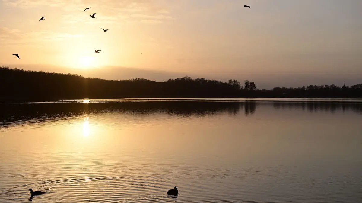 Wintersonne über dem Wandlitzsee - Wetter in Brandenburg: ARCHIV - 31.01.2022, Brandenburg, Wandlitz: Die Sonne geht hinter den am Ufer vom Wandlitzee wachsenden Bäumen unter. Am heutigen Samstag ist es bei Temperaturen um sechs bis sieben Grad zwar bewölkt doch meist trocken. Hin und wieder lässt sich die Sonne blicken. Allerdings sind Schnee-, Regen- oder Graupelschauer und sogar Gewitter möglich. Der Sonntag wird bei ähnlichen Temperaturen verregnet. (zu dpa: «Kauf des Wandlitzsees - Gemeinde will Angebot verhandeln») Foto: Soeren Stache/dpa-Zentralbild/dpa +++ dpa-Bildfunk +++