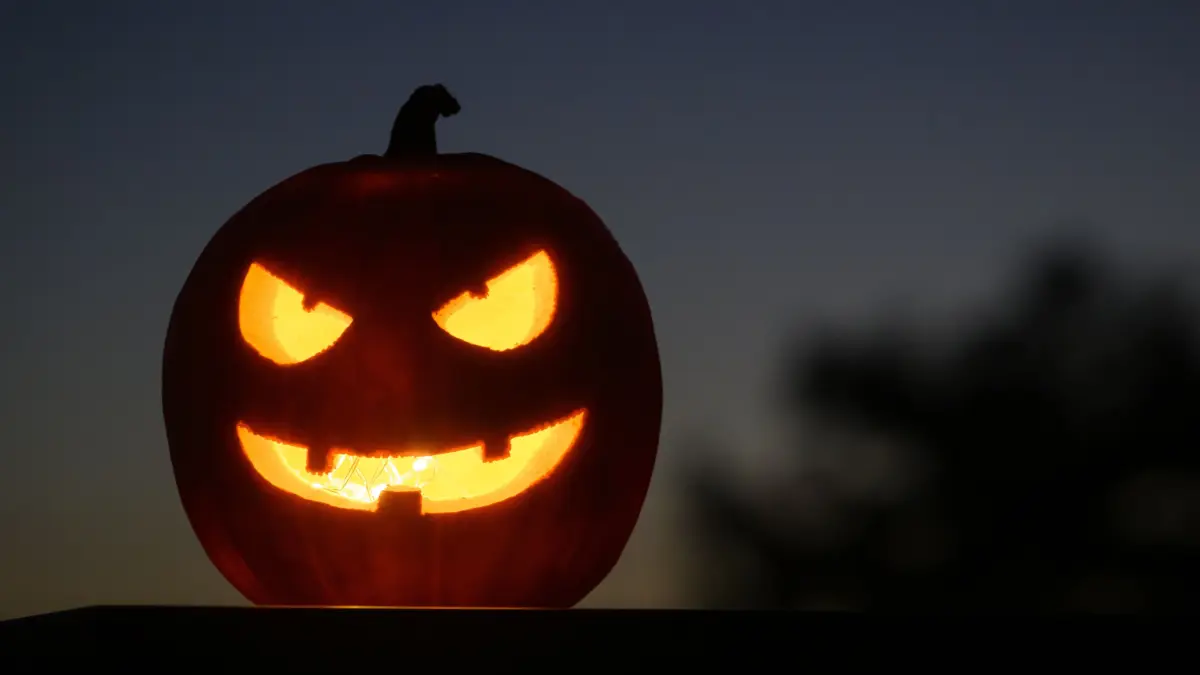 Als Halloween-Dekoration steht ein ausgehöhlter, beleuchteter Kürbis mit einem geschnitzten grinsenden Gesicht in einem Garten in Daillens, Schweiz. Halloween ist ein Fest, das am 31. Oktober gefeiert wird, bei dem sich die Menschen verkleiden, Kürbisse schnitzen, Partys feiern und Kinder um Süßes oder Saures bitten. +++ dpa-Bildfunk +++