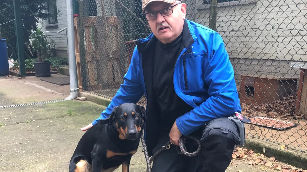 Ehrenamtlicher Gassigänger: Wilfried Nickel aus Fürstenwalde macht mit Hunden aus dem Tierheim Fürstenwalde regelmäßig Touren durch den Wald. Auch der anderthalbjährigen Cleo, gefunden mit drei anderen Hunden im Sommer in Friedland, wünscht er bald ein neues Zuhause.