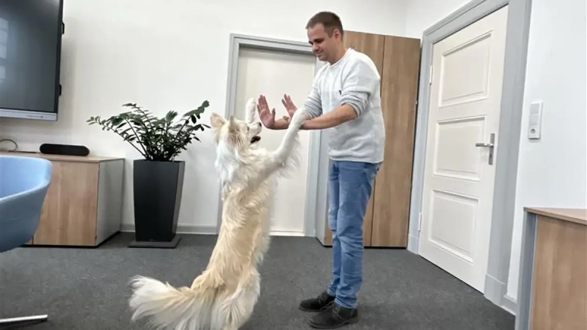 Carsten Asaël spielt mit seinem Boder Collie Cosmo