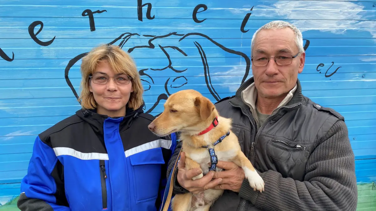 Kamen, sahen und adoptierten: Mischling Pancho hat nun bei Nicole und Jens Achterberg in Schenkendöbern ein neues Zuhause.