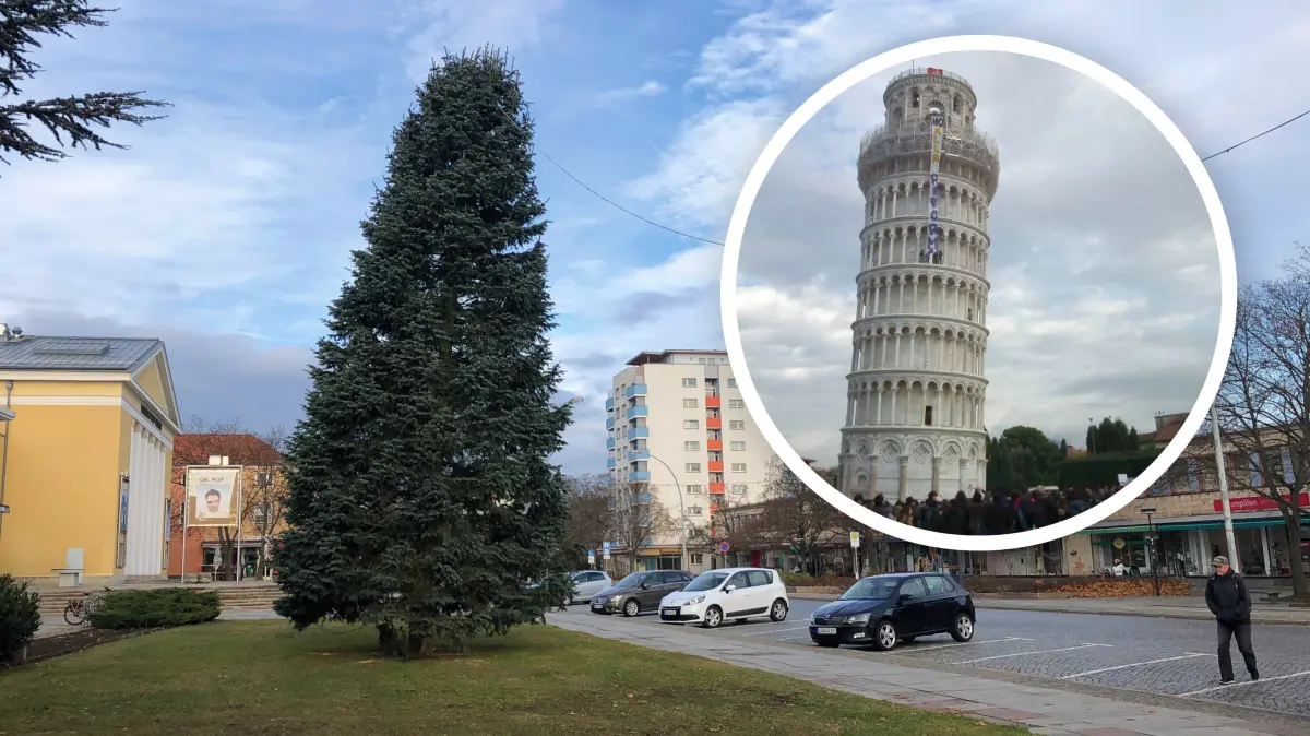 Der schiefe Baum von Eisenhüttenstadt hat etwa den Neigungswinkel vom Schiefen Turm von Pisa (kleines Bild, Archiv)