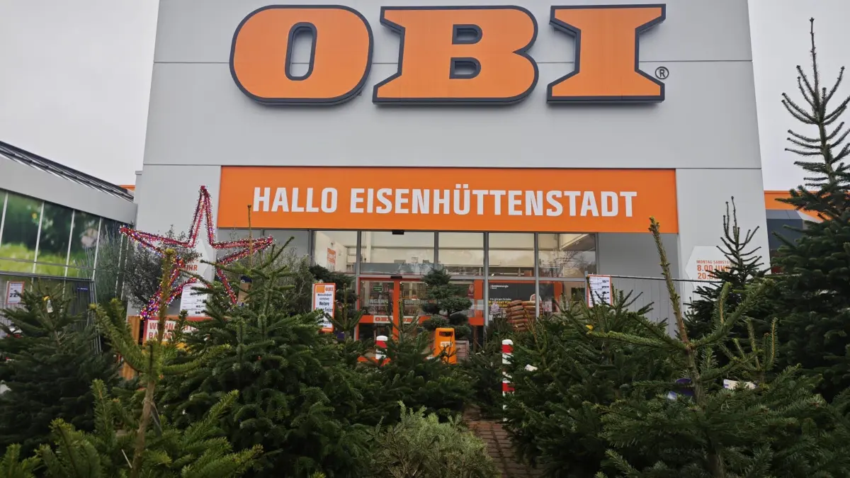 Beim Obi Eisenhüttenstadt hat man die Wahl aus vier verschiedenen Größen - allesamt Nordmanntannen.