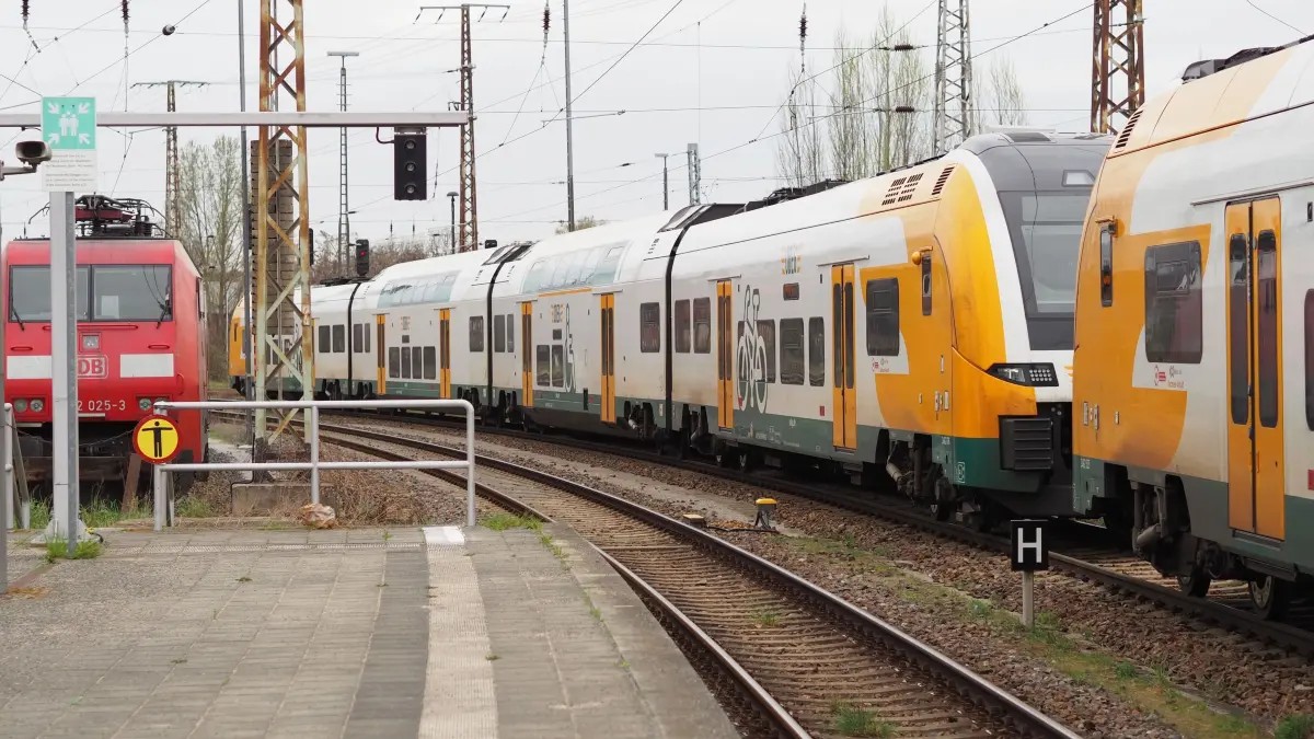 Die vielen Ausfälle und Bauarbeiten auf der RE1-Strecke zwischen Frankfurt (Oder) und Berlin könnten sich zu einem Standortnachteil für die Viadrina entwickeln, befürchtet unter anderem Oberbürgermeister René Wilke.