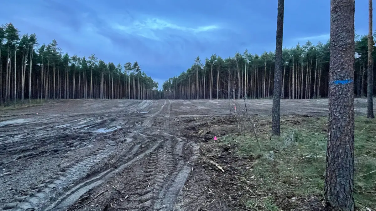 Der Eingriff in einen Wald bei Eisenhüttenstadt ist nicht unerheblich. Drohen weitere Rodungen?