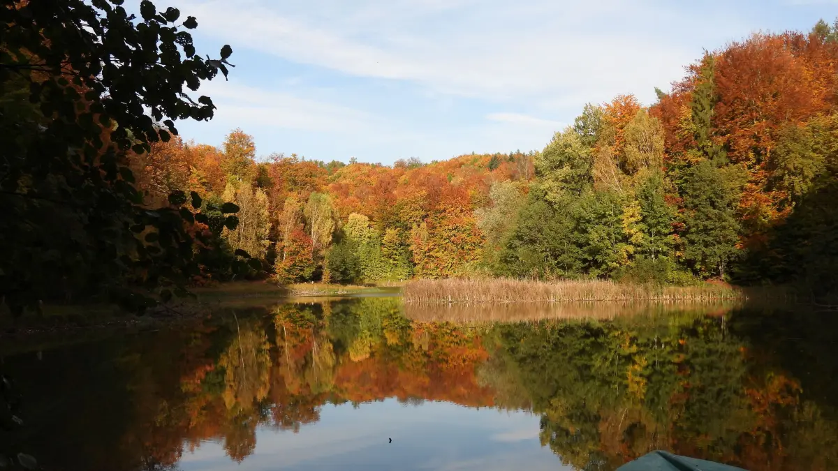 (ohne Überschrift): Leserfoto: Herbstliche Impression am Baasee in Bad Freienwalde
Von Renate Melz aus Neureetz(Oderbruch)
