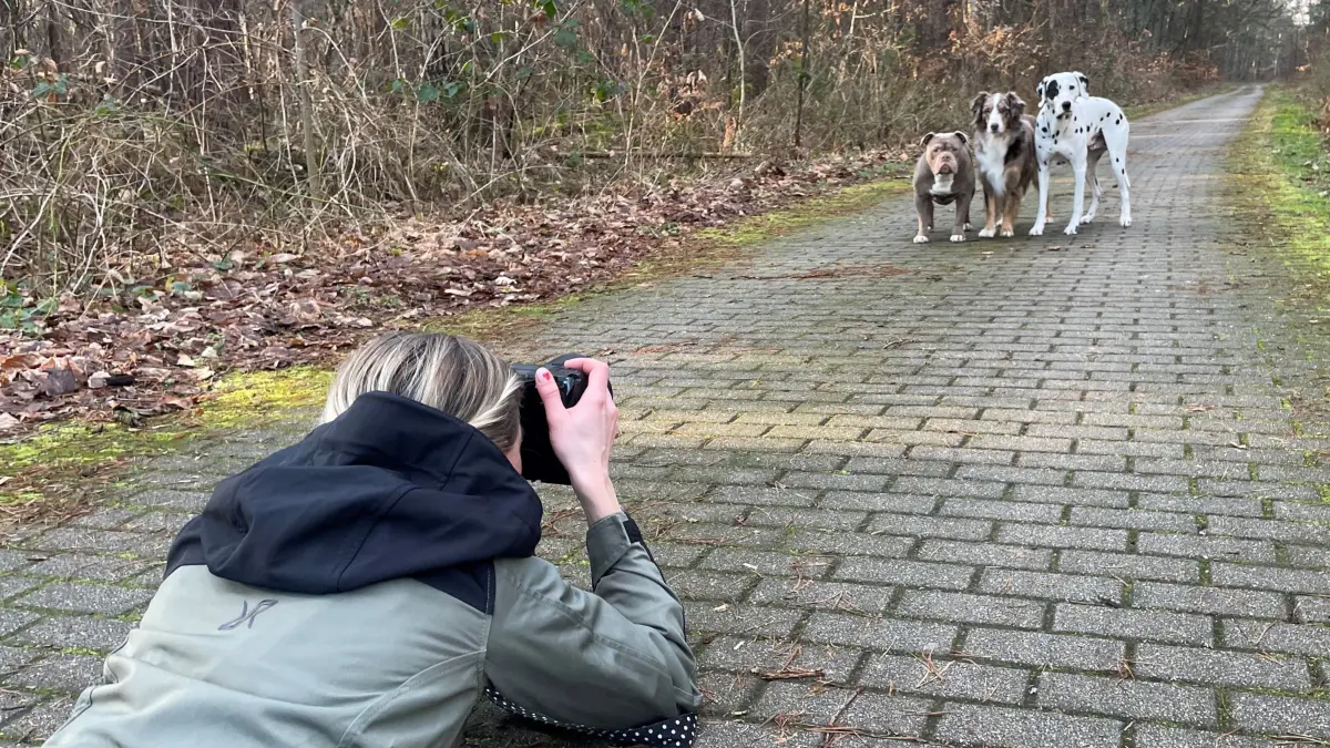 Hunde im Fokus: Nicole Behling fotografiert ihre Hunde mit viel Leidenschaft und hat ihr Hobby zum Beruf gemacht.