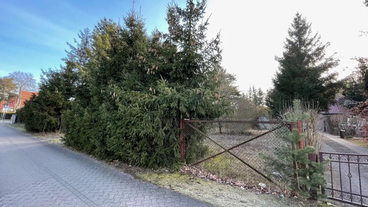 Baugrundstück Grundstück in der Sophie-Scholl-Straße 11 in Oranienburg, Ortsteil Sachsenhausen, Stadt vergibt im Erbbaupacht Erbbaurecht für Wohnbebauung Haus