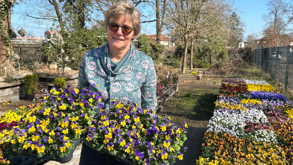 Frühling - Tipps für die richtigen Pflanzen auf dem Grab