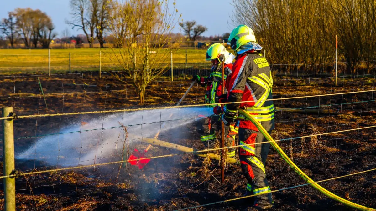 In Vehlefanz löschte die Feuerwehr eine brennende Fläche von gut 1500 Quadratmetern. In Oranienburg musste sie ausrücken, weil ein Kind mit einem Feuerzeug gespielt hatte.