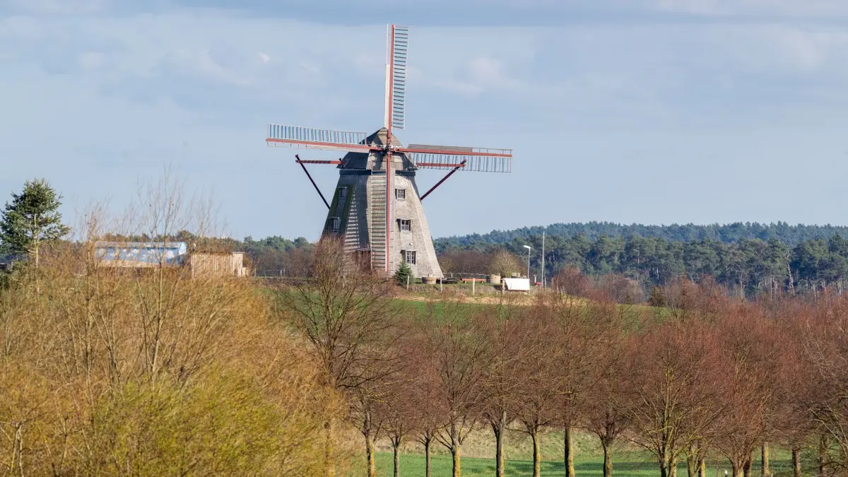 Greiffenberger Mühle: 01.04.2025, Brandenburg, Angermünde/Ot Greiffenberg: Die historische Windmühle steht nahe der Landstraße L 24 am Ortseingang auf einer kleinen Anhöhe. Die Erdholländermühle wurde bis 1938 betrieben und verfiel danach. Dank des Mühlenvereins Greiffenberg wurde die Mühle seit dem Jahr 2013 wieder komplett aufgebaut und ist eines der Wahrzeichen des Ortes. Foto: Soeren Stache/dpa - Honorarfrei nur für Bezieher des Dienstes ZB-Funkregio Ost +++ ZB-FUNKREGIO OST +++
