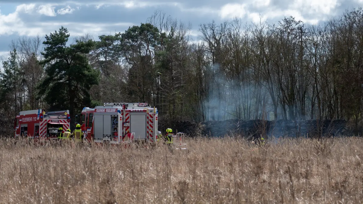 Brand in Vogelsdorf: Am Rande eines Industriegebietes hat ein Feuer den Wald bedroht. Da schnelle Eingreifen der Feuerwehr verhinderte schlimmeres.