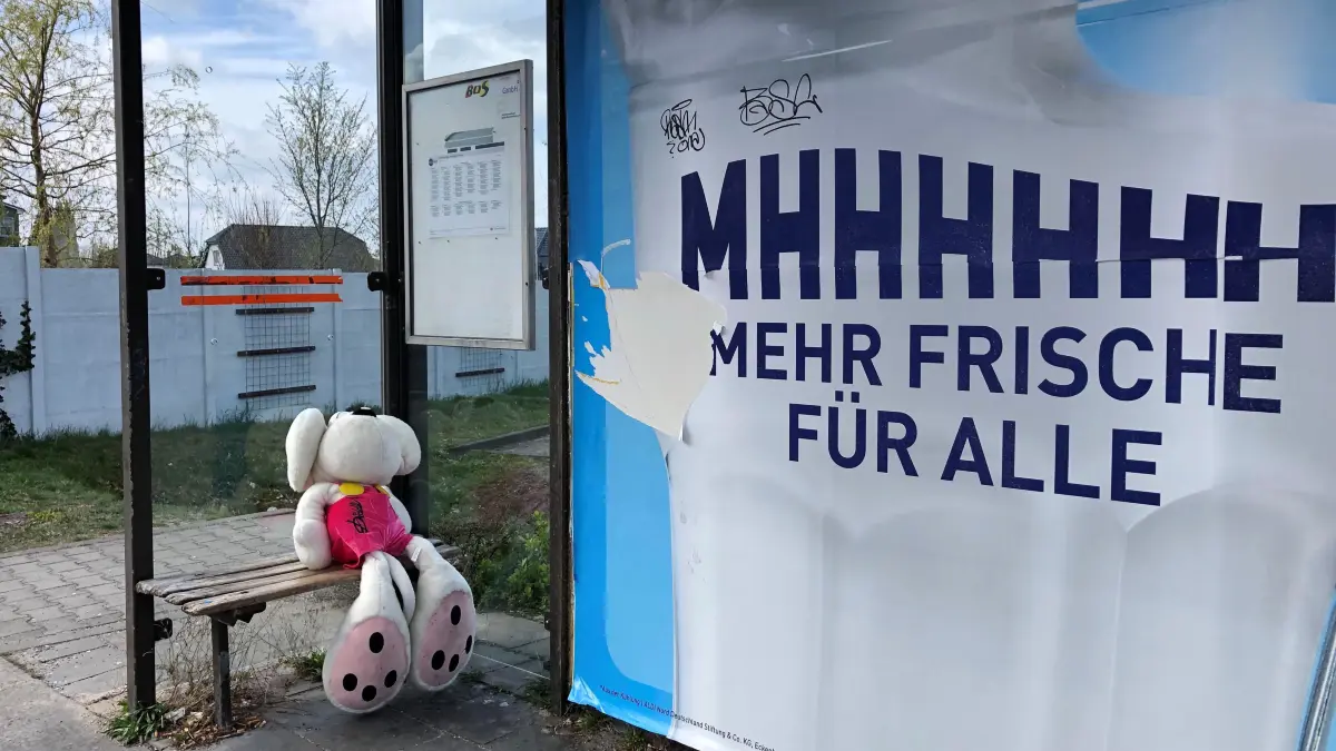 Ein Kuscheltier sitzt an einer einsamen Haltestelle in Fürstenberg in Eisenhüttenstadt. Welcher Fahrgast es wohl vergessen hat?