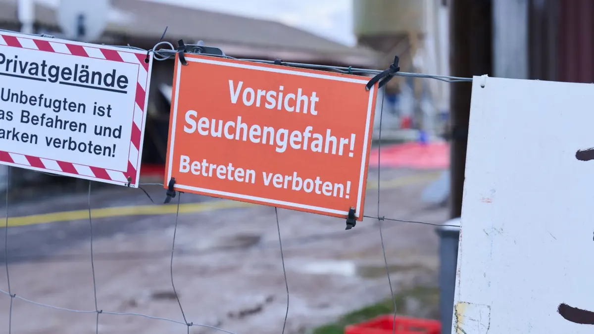Maul- und Klauenseuche in Brandenburg: ARCHIV - 11.01.2025, Brandenburg, Mehrow: „Vorsicht Seuchengefahr!“ steht auf einem Schild an einem Betrieb in Mehrow. Zum Schutz vor einer möglichen Ausbreitung der Maul- und Klauenseuche sollen am Vormittag vorsorglich rund 200 Schweine im brandenburgischen Landkreis Barnim getötet werden. (zu dpa: «Sperrzone gilt nach MKS-Ausbruch in Hönow vorerst weiter») Foto: Annette Riedl/dpa +++ dpa-Bildfunk +++