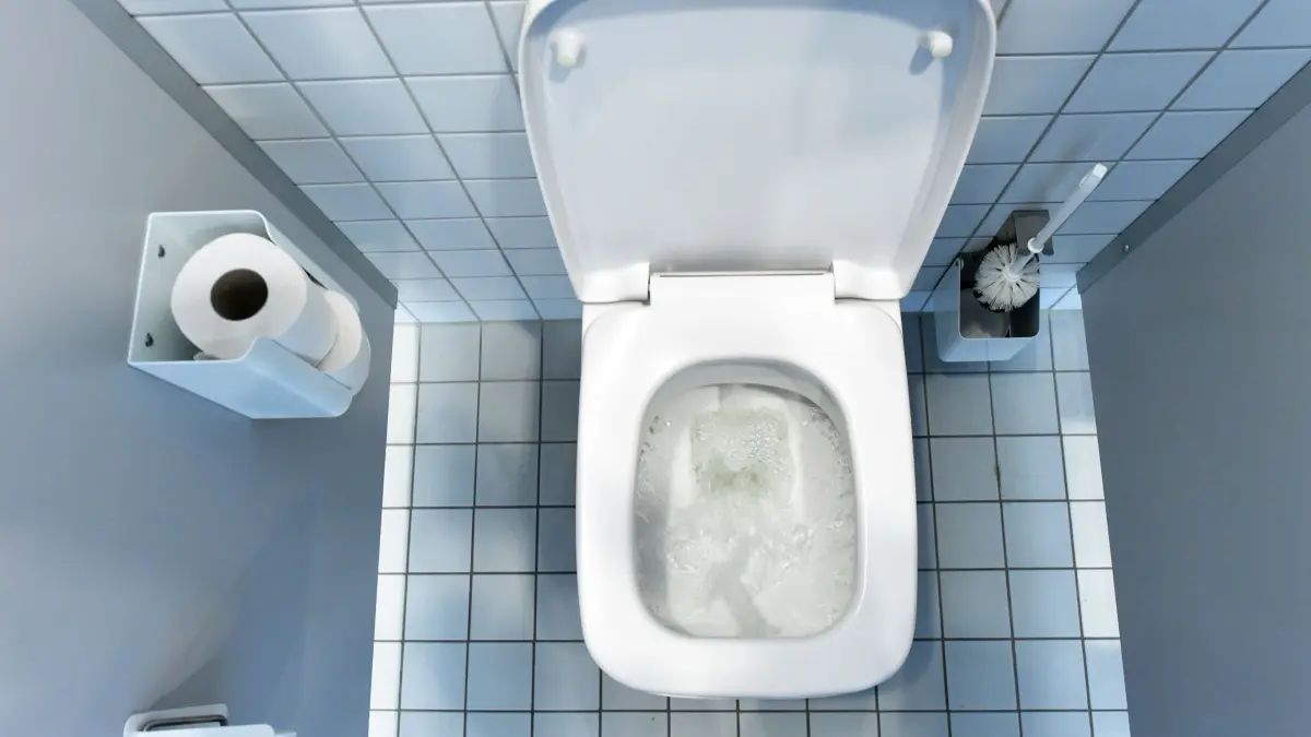 Toilette: ARCHIV - 23.10.2016, Brandenburg, Potsdam: WC-Bürste, Toilettenpapier und Papierhalter: Ein WC am Arbeitsplatz muss bestimmte Mindestanforderungen erfüllen. (zu dpa: «Wasser oder Wischen: Was der Po wirklich braucht») Foto: Ralf Hirschberger/dpa-Zentralbild/dpa +++ dpa-Bildfunk +++