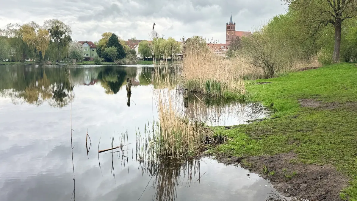 Ein See mit Geschichte: Der Waschbanksee im Zentrum von Müncheberg soll saniert werden. Aber nicht auf die herkömmliche Art und Weise.