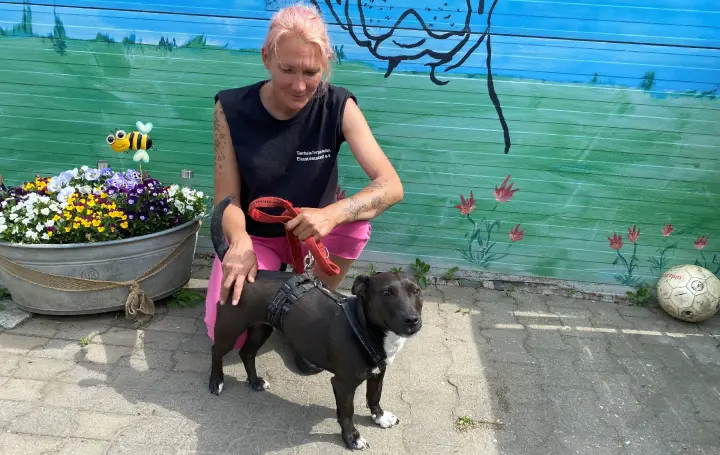 Zu quirlig für kleine Kinder – Miley sucht neues Zuhause