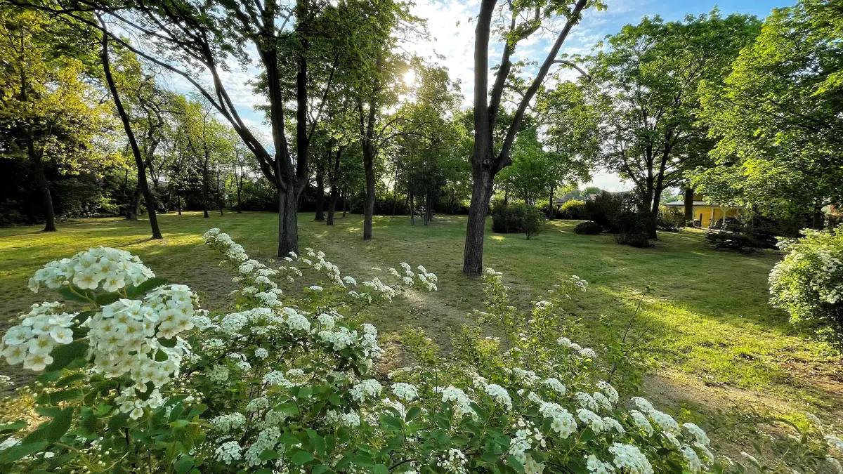 Grünfläche an der Straße der Einheit/ Schäferweg (Ehemaliger Sandhausener Friedhof) in Oranienburg soll zu einer (noch schöneren) Parkanlage umgestaltet werden mit Rundweg, Bänken etc.