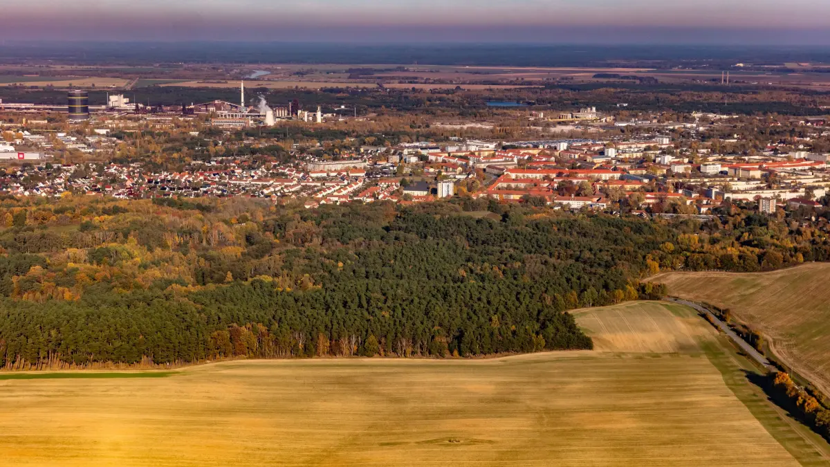 Am Rande des Waldstückes bei Diehlo soll künftig die Ortsumgehung Eisenhüttenstadt/Neuzelle der B112 verlaufen. Doch bis die orte vom Verkehr entlastet werden dauert es. Es gibt weitere Verzögerungen.