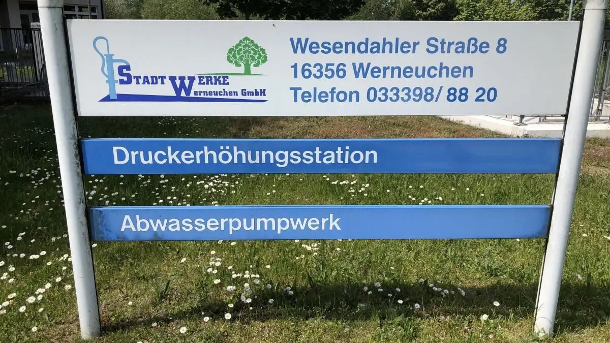 Schild