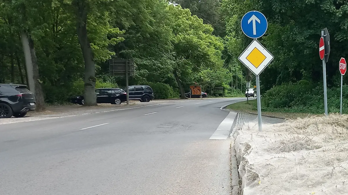 Gespinstmotte in Eberswalde: Die Raupen haben eine ganze Verkehrsinsel an der B168 eingenommen.