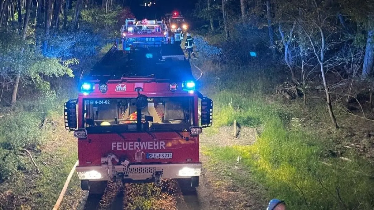 Brand im Wald in der Gemeinde Vierlinden: Feuerwehren aus Seelow und dem Amt Seelow-Land waren im Einsatz.