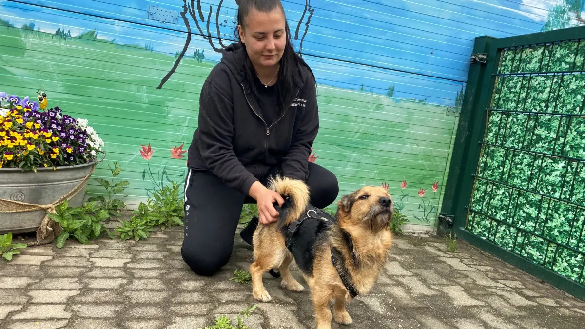 Erworben und dann doch nicht gewollt: Tierheimleiterin Alina Thiele mit dem zweijährigen Terrier-Mischling Boomer