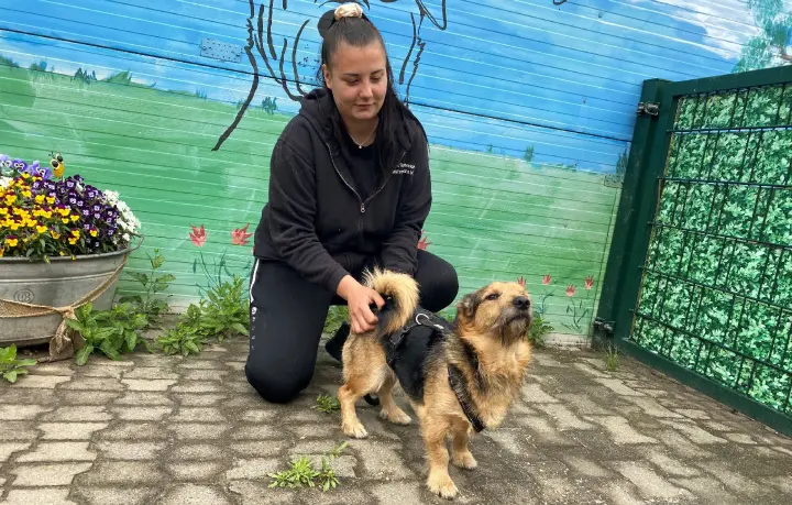 Armer Boomer – gesehen, gekauft und gleich weitergereicht