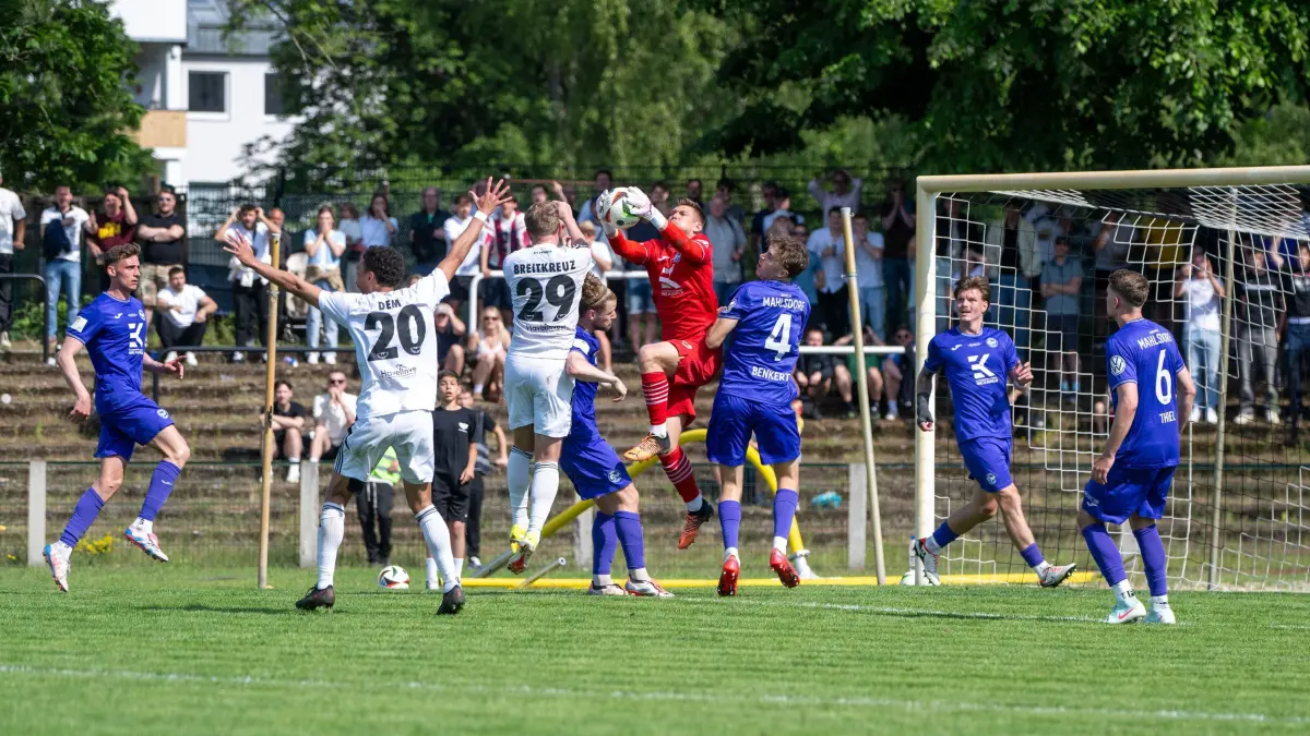OL BFC Preussen - Eintracht Mahlsdorf 2024/25: Fußball, Herren, Saison 2024/2025, NOFV-Oberliga Nord (30. Spieltag), BFC Preussen - Eintracht Mahlsdorf (1:0), Torwart Paul Büchel (Eintracht Mahlsdorf) fängt nach dem Wembley-Tor von Lenny Stein (nicht im Bild, BFC Preussen) den Ball, 31.05. 2025, Foto: Matthias Koch