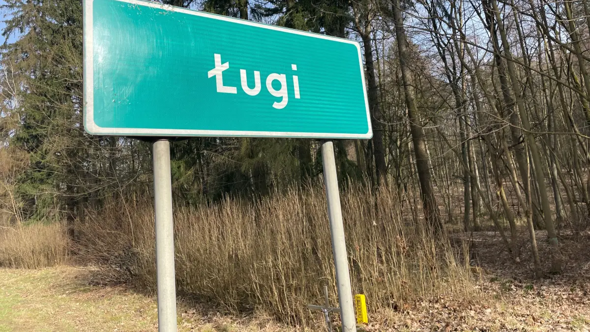 aaaa