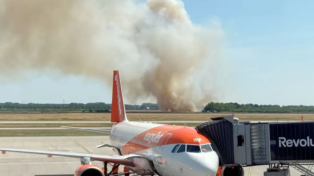 Brennendes Getreidefeld in Schönefeld: 22.06.2025, Brandenburg, Schönefeld: Dichter Rauch steigt beim Brand auf einem Getreidefeld im Ortsteil Waltersdorf unweit des Flughafen BER auf. Das Ausmaß sei bisher unklar, sagte eine Sprecherin der Regionalleitstelle Lausitz. Foto: Tobias Schmidt/dpa +++ dpa-Bildfunk +++