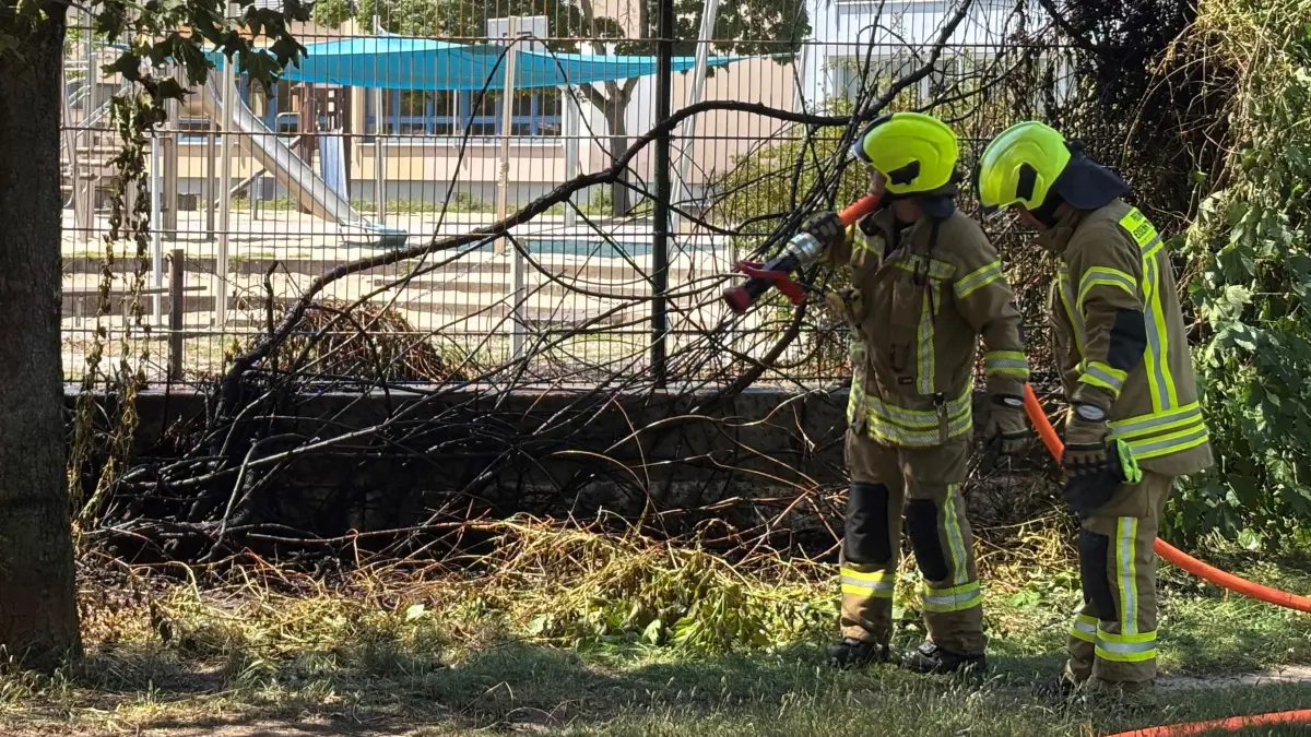 Feuer am Zaun der Diesterweg-Grundschule in Eisenhüttenstadt. 16 Feuerwehrleute vor Ort im Einsatz. Etwa eine halbe Stunde. Verdacht auf Brandstiftung