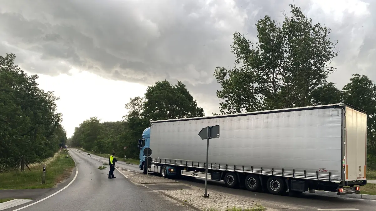 Zwischen der Bahnlinie auf der Gemarkung Lawitz und der Bundesstraße B112 war am Montag (23. Juni 2025) auf 400 Quadratmetern ein Waldbrand ausgebrochen. Dunkle Rauchwolken sind bereits am teilweise gesperrten Kreisel am Ortsausgang Eisenhüttenstadt in Richtung Neuzelle zu sehen. Aufkommende Orkanböen erschwerten das Löschen, der Brand weitete sich bis 18.40 Uhr auf 600 Quadratmeter aus.