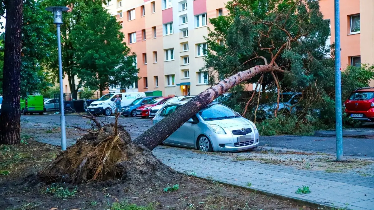 Hennigsdorf Sturm am 26.07.2025 Baum auf Auto Rathenaustraße