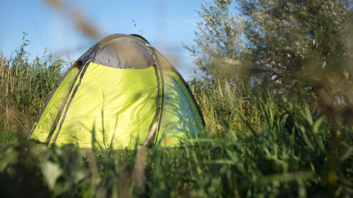 Wildcampen: ARCHIV - 05.09.2015, Mecklenburg-Vorpommern, Lärz: Ein Zelt steht auf einem Feld. (zu dpa: «Zelten in der Natur: Wie das in RLP ganz legal geht») Foto: Florian Schuh/dpa +++ dpa-Bildfunk +++