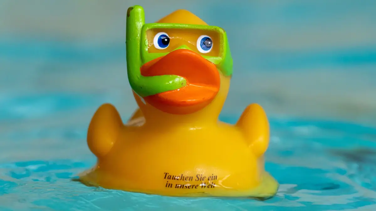 Ungetrübter Badespaß ist im Sport- und Erlebnisbad Aquarium in Schwedt durch klare Regeln möglich.