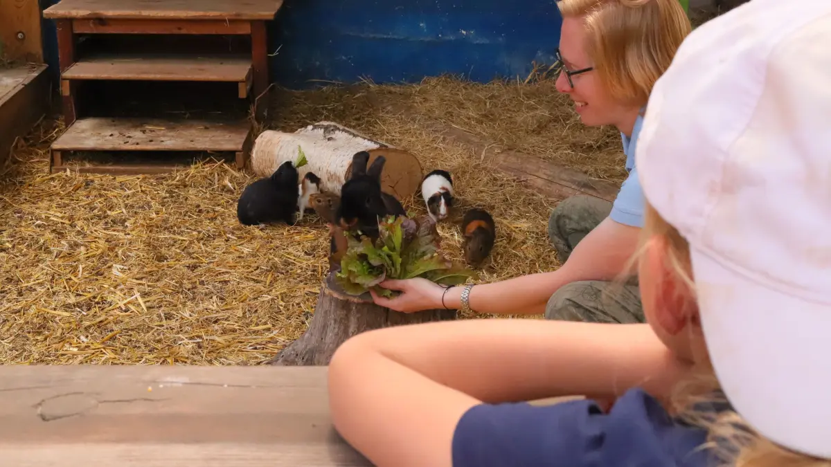 Tierpflegerin Katharina Drewitz im Kleintiergehege des Scharmuntzellands Wendisch Rietz. Kinder können dort auf Kuschelkurs mit Kaninchen und Meerschweinchen gehen.