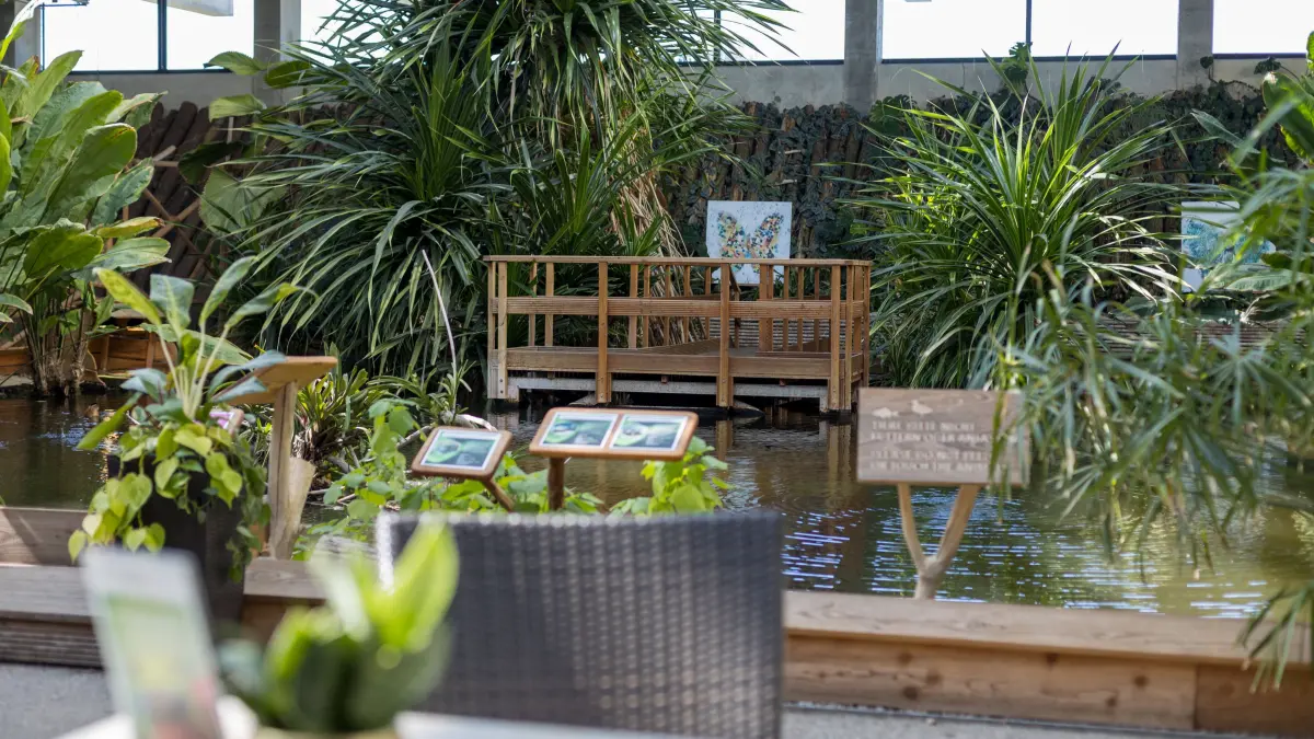 Blick vom Café Tropencamp am Ufer des Urwaldsees in der Biosphäre Potsdam. Hier gibt es süße und herzhafte Snacks.