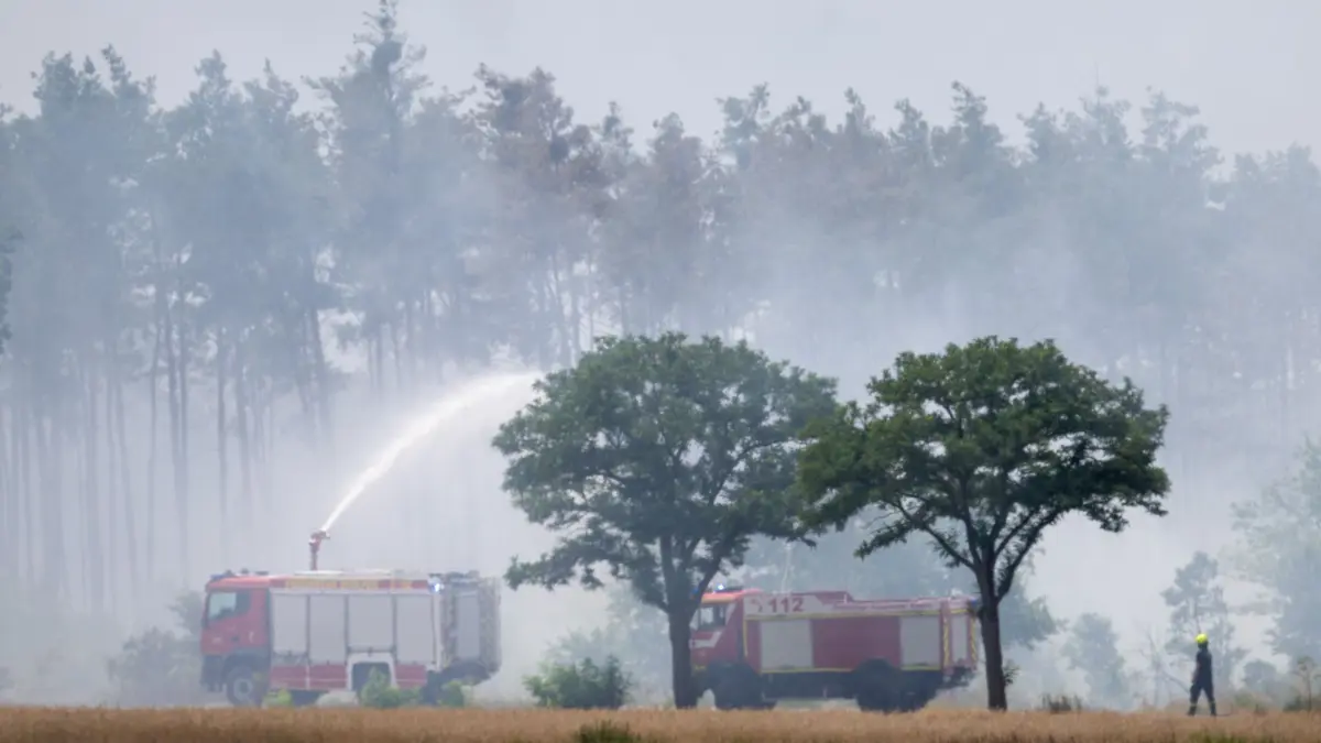 04.07.2025, Sachsen, Nieska: Löschfahrzeuge der Feuerwehr sind im Einsatz bei einem Wald- und Vegetationsbrand in der Gohrischheide im Landkreis Meißen. An mehreren Orten im Osten Deutschlands kämpfen die Einsatzkräfte gegen Waldbrände. Foto: Sebastian Kahnert/dpa +++ dpa-Bildfunk +++