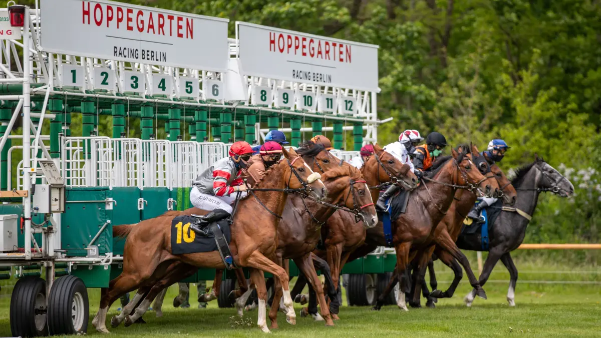 Pferderennen: Galopp, Saisoneröffnung der Rennbahn Hoppegarten, 1. Renntag. Pferde starten aus den Boxen zum Preis vom Rennstall Schleusner. Das Rennen findet wegen der Coronavirus-Pandemie ohne Zuschauer statt. Getroffene Schutzmaßnahmen zur Eindämmung des Coronavirus zeigen Jockeys mit Mundschutz und leere Tribünen. +++ dpa-Bildfunk +++