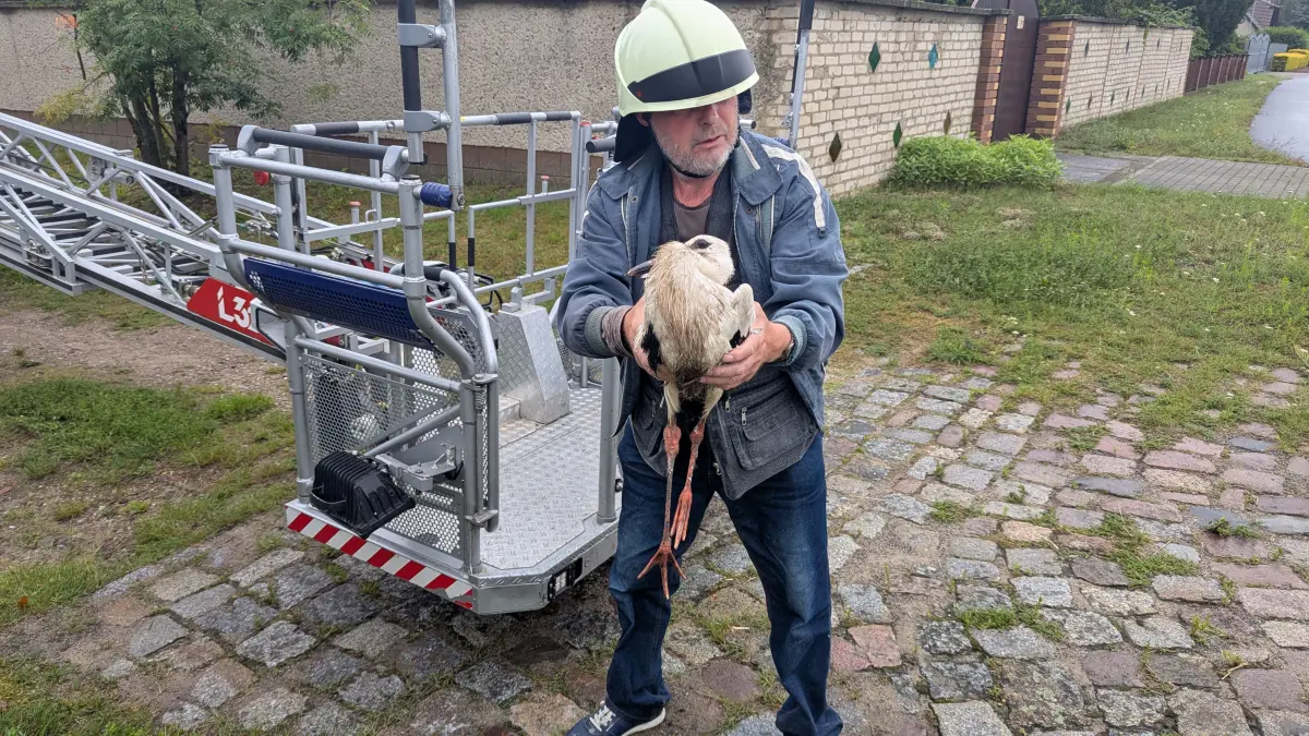 Tierfreund Reiner Wartenberg mit dem geretteten Storch in Rathsdorf bei Wriezen.