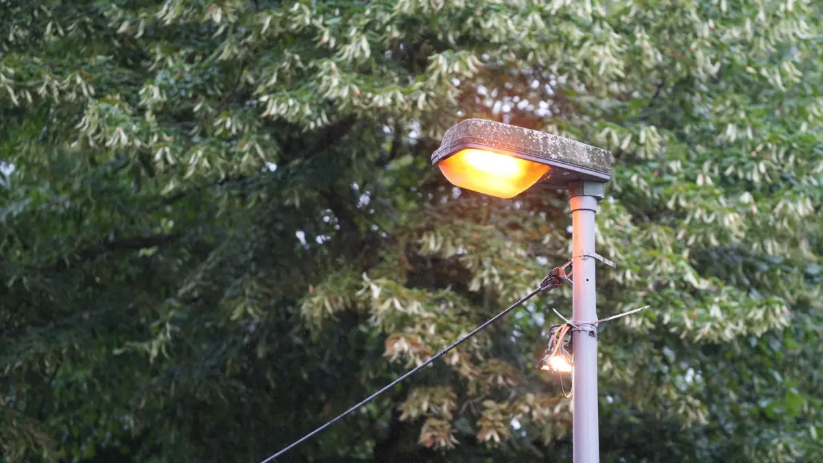 Insekten befallen ein Schalthäuschen - Straßenlaternen bleiben an: 17.07.2025, Berlin: Eine Straßenlaterne brennt in Berlin Biesdorf. In Berlin Biesdorf brennen rund 80 Straßenlaternen rund um die Uhr. Grund dafür ist der Befall eines Schalthäuschen für Strom durch Insekten. Zuständig für die öffentliche Straßenbeleuchtung ist die Senatsverwaltung für Mobilität, Verkehr, Klimaschutz und Umwelt (MVKU). Foto: Manuel Genolet/dpa +++ dpa-Bildfunk +++